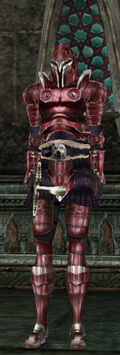 Helset guard.jpg