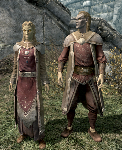 File:Altmer in Fine Raiment.png