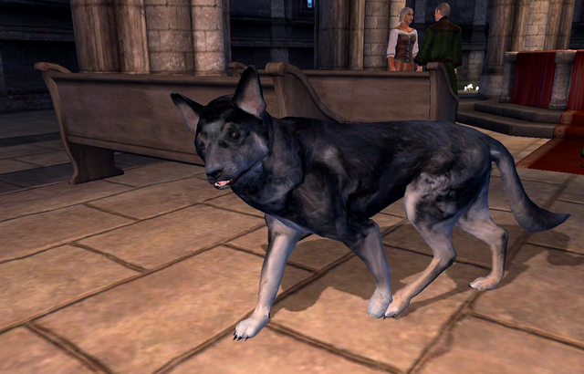 File:Bailey.png