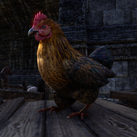 Chicken.png