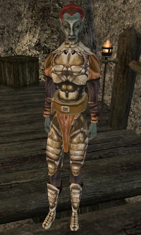 File:Arnsi Nerandas.png