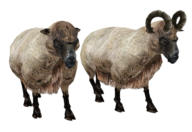 File:Beast oblivion sheep.png