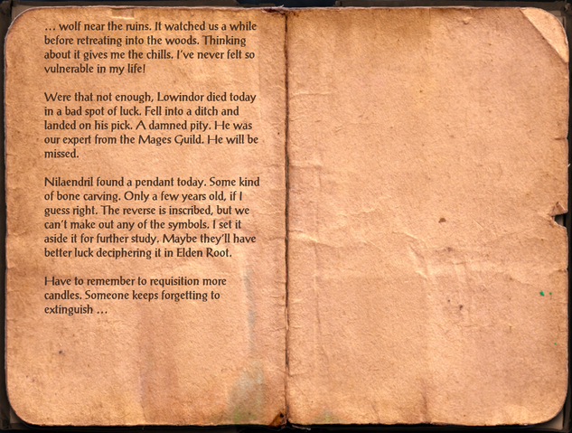 File:Ralion's Journal, Day 132.png