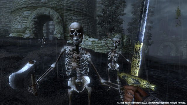 File:Skeleton.jpg