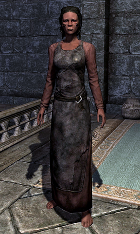 File:Blacksmith's Apron 0005B69F.png