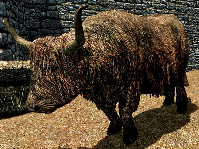 File:Cow Skyrim.png