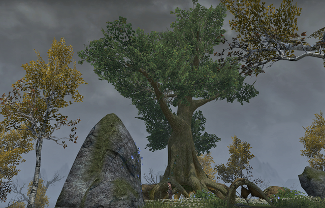 File:Wyress Camp.png