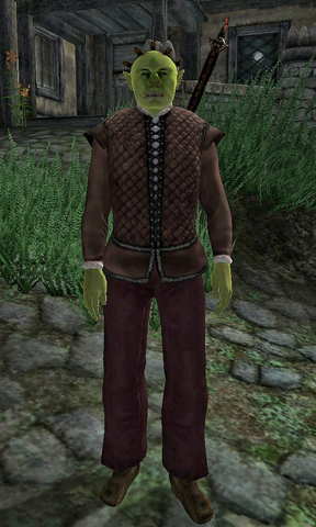 File:Hanz gro-Hubrag.png