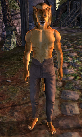 File:J'zidzo (Mania).png