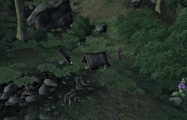 File:Nayon Camp.png