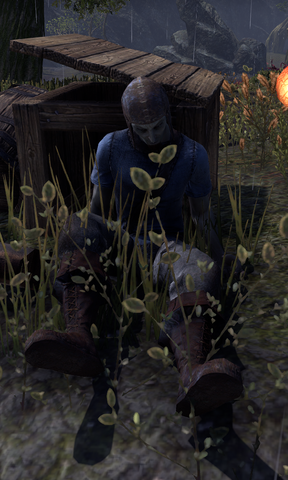 File:Avos Llaren.png