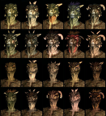 File:ArgonianCompilation-620x.jpg