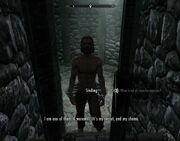 Hircine1 sinding.jpg
