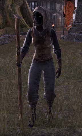 File:Narzura.png