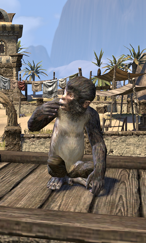 File:Lerisa's Petmonkey.png
