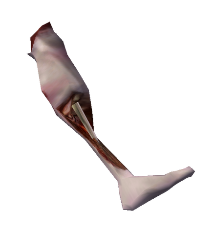 File:Severed Nord Leg.png