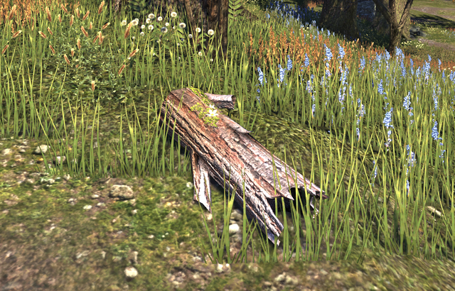 File:Oak.png