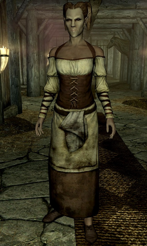 File:Dealer Dawnguard.png