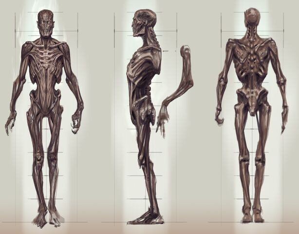 File:Draugr concept art2.jpg
