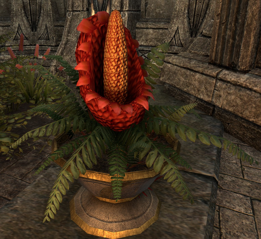 File:Domica Redwort Online.png