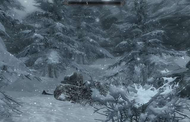 File:ForgottenValeForest.png