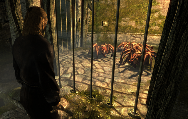 File:Kornalus Spiders.png