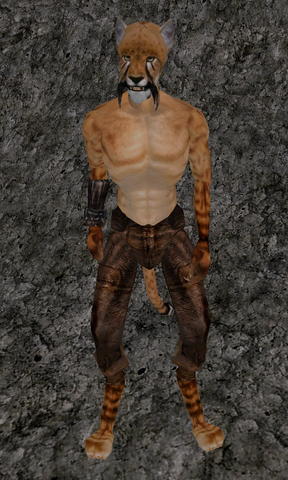 File:Ma'Jidarr.png