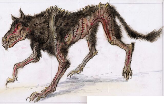 File:Skinnedhoundconcept1.jpg