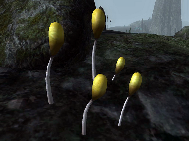 File:Bog Beacon.png