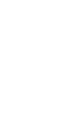 File:Dwemeris F.png