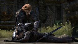 Eso-justice-system