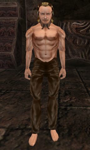 File:Horstar Home-Wrecker.png