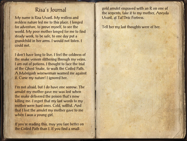 File:Risa's Journal.png