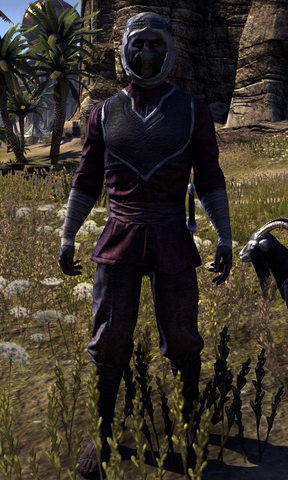 File:ESO Mirzad.png