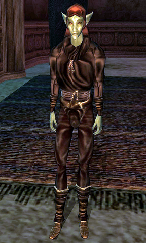 File:Salyni Nelvayn.png