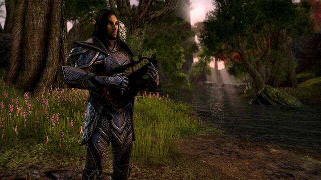 File:Altmer Playing a Lute.jpg
