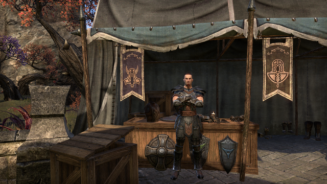 File:Vilgis' Invulnerable Vestments.png