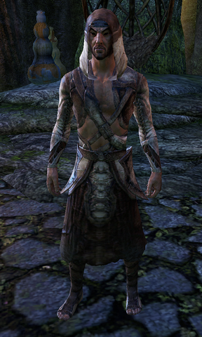 File:Spinner Caerllin.png