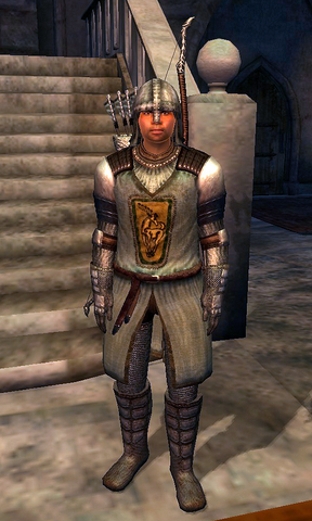 File:Count's Bodyguard Bravil 0000A188.png