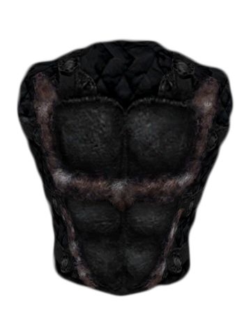 File:Snow Wolf Cuirass.png