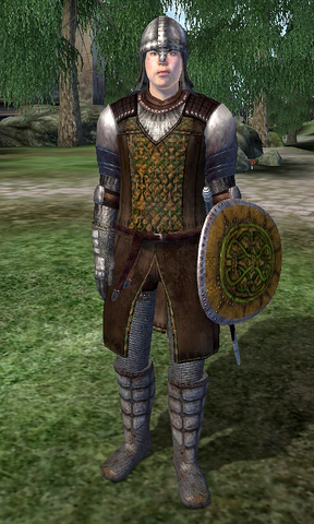File:Cheydinhal Gate Guard.png