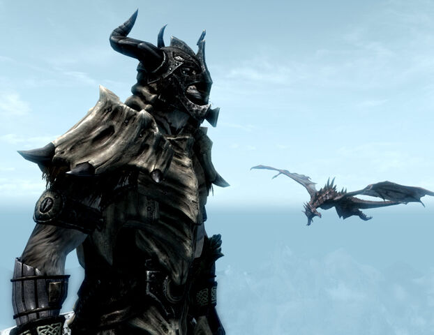 File:Khajiit on top.jpg