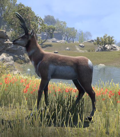 File:Antelope (Online).png