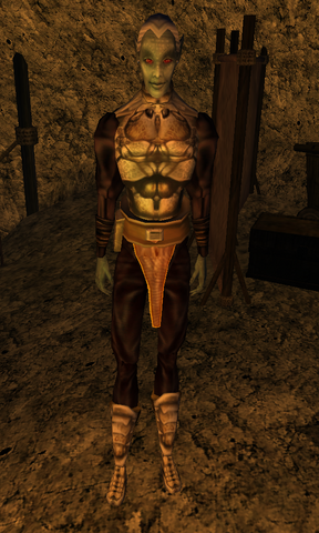File:Bralsea Seloth.png