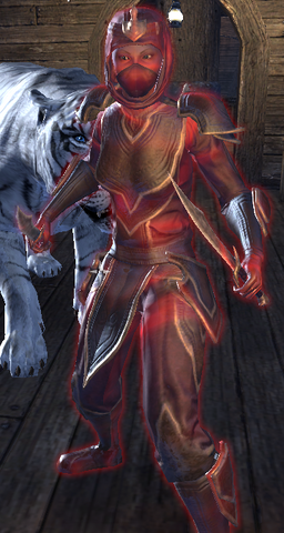 File:Captain at mardeen.png