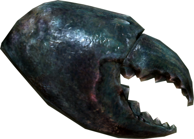 File:Mudcrab chitin.png