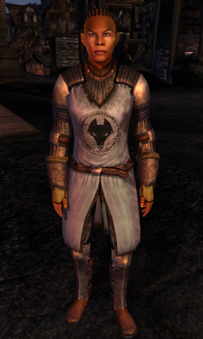 File:TESIV Guard Kvatch 2.png