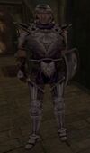 Duke's Guard