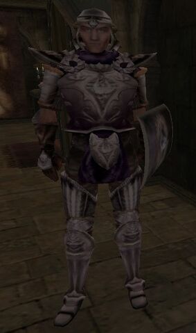File:Duke's Guard.jpg