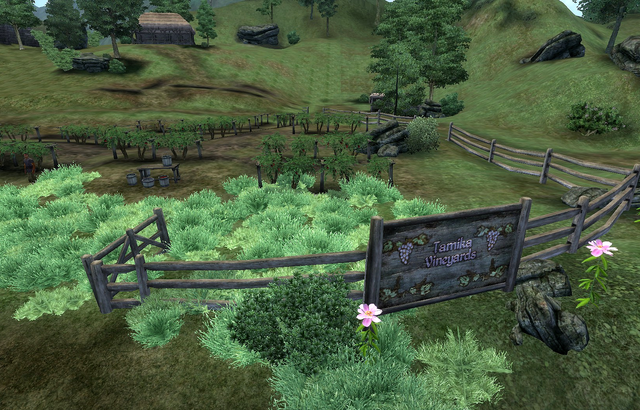 File:Tamika's Vineyards.png